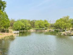 -贡湖湾湿地公园