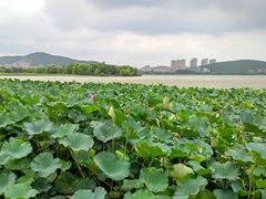 -云龙湖旅游景区