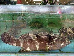 -景好海鲜餐厅(大鹏必选旅游店)