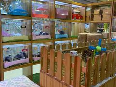 -宠物兔专门店(天丰利市场店)