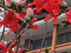 -南宁南湖公园