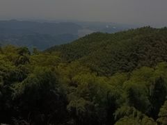 -长沙黑麋峰国家森林公园