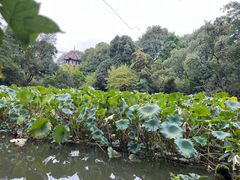 -成都杜甫草堂博物馆