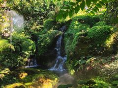 -Chom Cafe and Restaurant