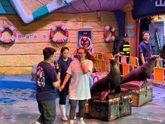 -烟台海昌鲸鲨海洋公园