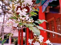 -碑林公园