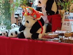 -轩客会(熊猫书店)