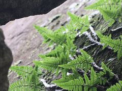 -刘伯温故里景区百丈漈