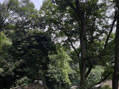 -虎跑公园