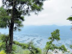 -仙岛湖旅游风景区