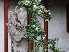 -耦园