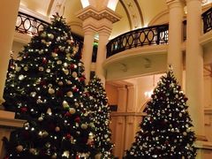 -LONG BAR 廊吧(外滩华尔道夫酒店)