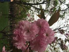 御花园酒店(中山公园店)-御花园·粤菜·海鲜火锅(中山公园店)