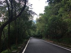 -大屏嶂森林公园