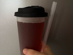 -吉丁鸟咖·异宠·寄养