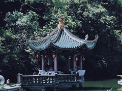 -江心屿景区