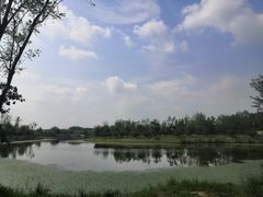 -东郊湿地公园