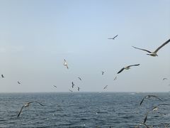 -星海广场