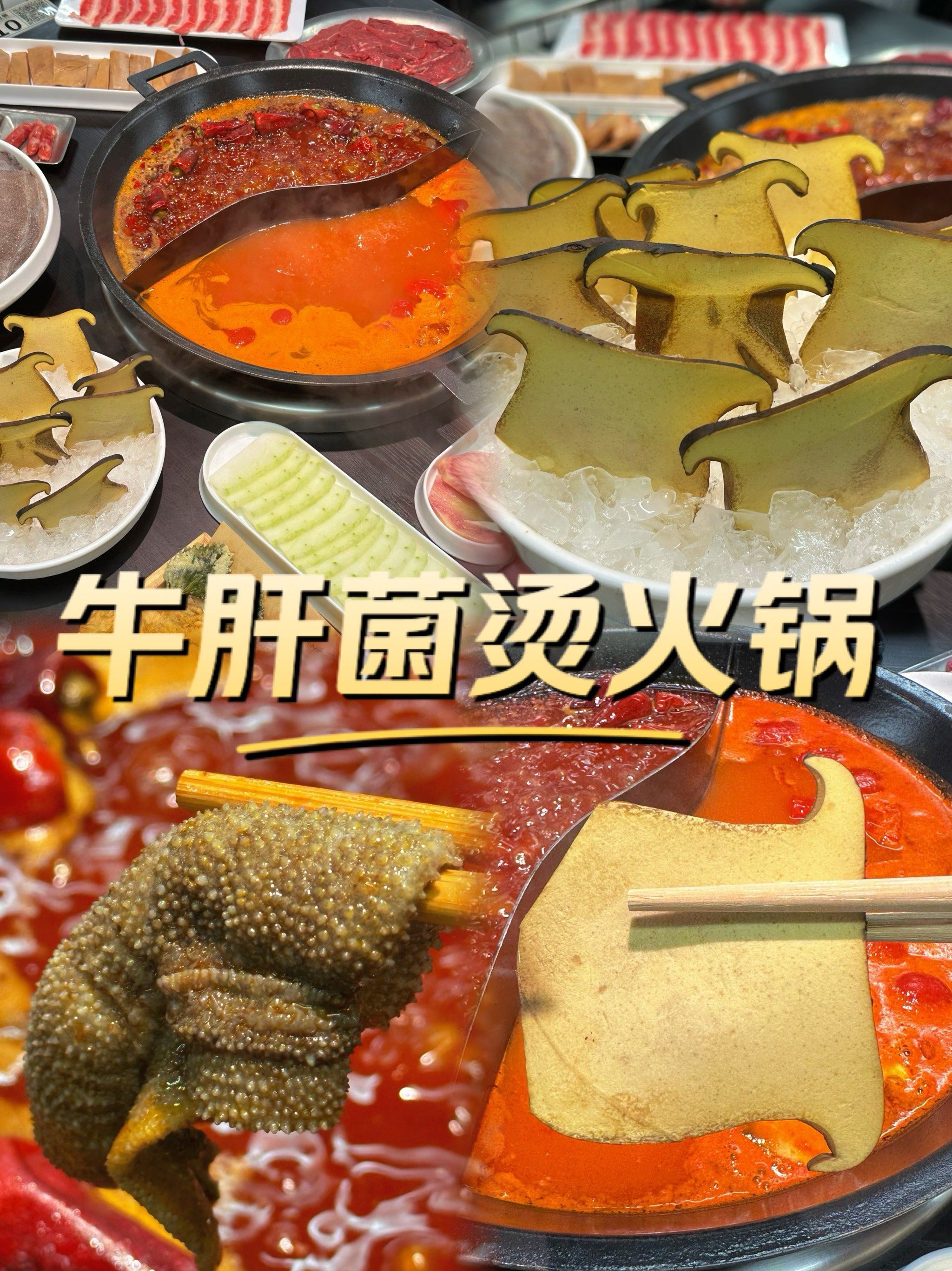 7515成都国庆这样过|跟着成都er吃牛肝菌烫火锅