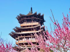 -杭州半山国家森林公园