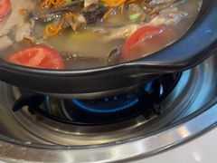 -乡土特色.冷锅鱼.牦牛肉汤锅