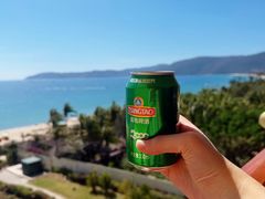 -北京烤鸭 ·儿童菜 ·采风阁家常菜餐厅(亚龙湾天域酒店)