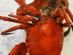 -友强·23年特色海鲜大排档(厦门店)