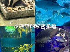 -大连圣亚海洋世界