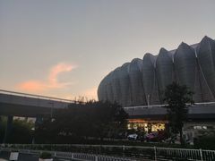 -奥体中心游泳馆