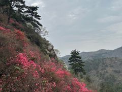 -木兰云雾山