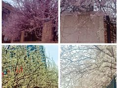 -新世界小天星幼儿园(尚景园)