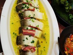 -鲁宴·鲁煨黄河生态大鲤鱼(月坛店)