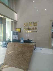 -碧莲盛·不剃发植发