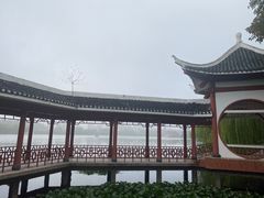 -沙市市中山公园