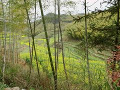 -灵山景区梯田