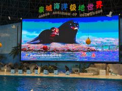 -泉城欧乐堡海洋极地世界