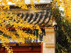 -青岛崂山太清宫
