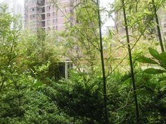 android_upload_pic-小杨生煎(龙之梦购物中心店)