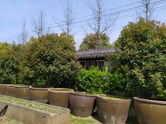 -鄞州雪菜博物馆