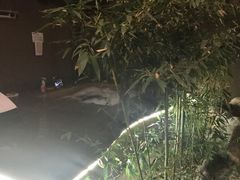 -北京72度温泉度假民宿