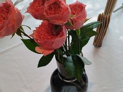 -顺峰(农展馆店)