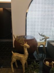 -上海首尔丽格医疗美容医院