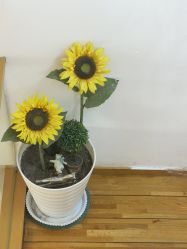 -谜秀韩式半永久纹眉纹绣洗眉