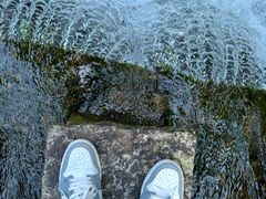 -广州白江湖森林公园