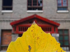 -山东大学(洪家楼校区)