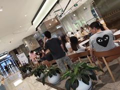 -奈雪的茶(石家庄万象城店)