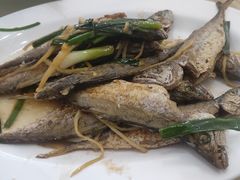 -源海渔村·现捞海鲜(大角湾店)