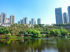 -重庆彩云湖湿地公园