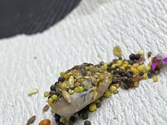 -爱侣宠医·鹦鹉专科·小型哺乳类·异宠专科(灵石路店)