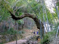 -会稽山峡洞漂流-上青古道